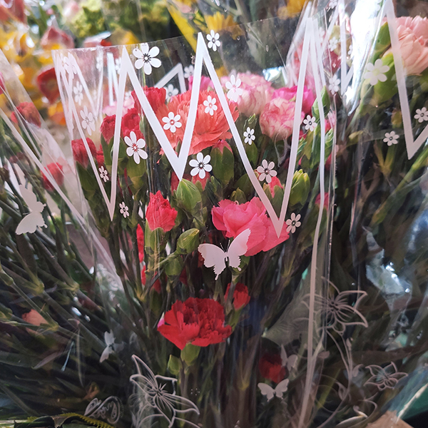 Hoa cẩm chướng